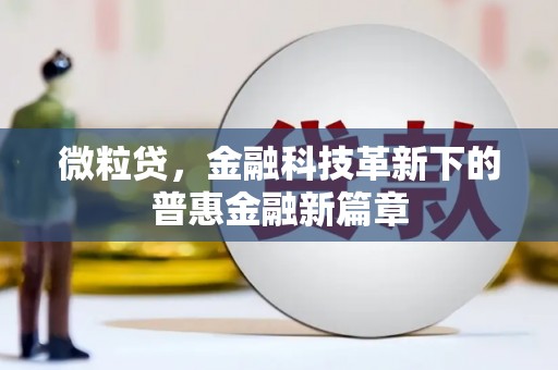 龙潭微粒贷，金融科技革新下的普惠金融新篇章