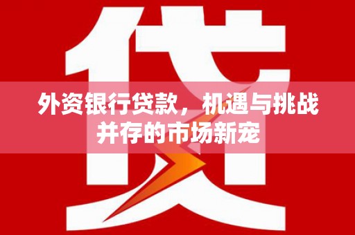 龙潭外资银行贷款，机遇与挑战并存的市场新宠