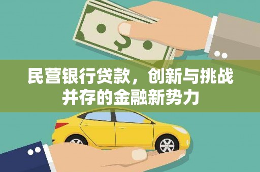 龙潭民营银行贷款，创新与挑战并存的金融新势力