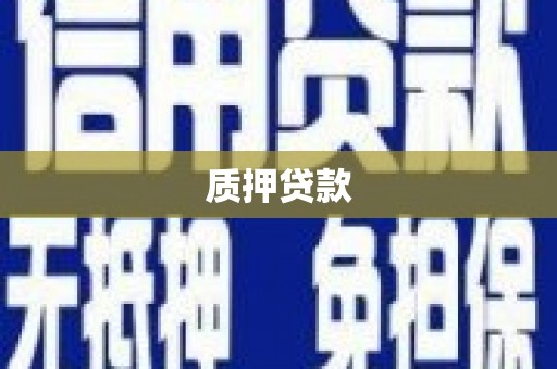 龙潭质押贷款