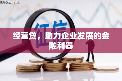 龙潭经营贷，助力企业发展的金融利器
