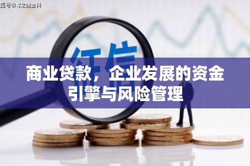龙潭商业贷款，企业发展的资金引擎与风险管理