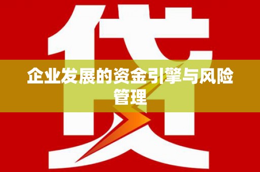 龙潭企业发展的资金引擎与风险管理
