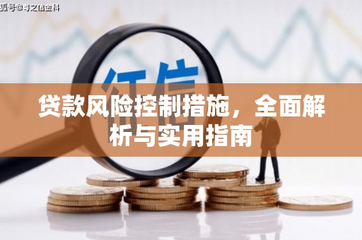 龙潭贷款风险控制措施，全面解析与实用指南
