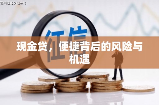 龙潭现金贷，便捷背后的风险与机遇