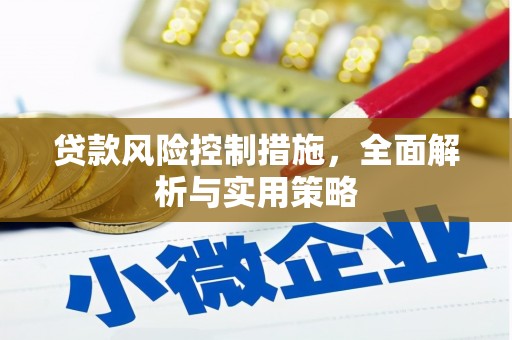 龙潭贷款风险控制措施，全面解析与实用策略