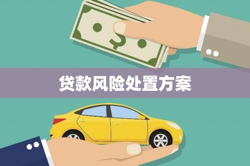龙潭贷款风险处置方案