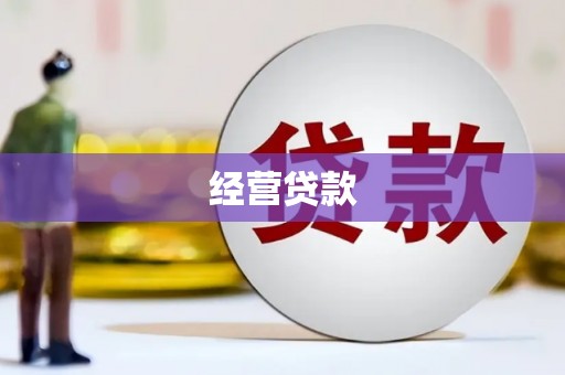 龙潭经营贷款