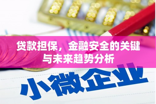 龙潭贷款担保，金融安全的关键与未来趋势分析