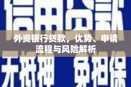 龙潭外资银行贷款，优势、申请流程与风险解析