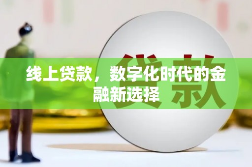 龙潭线上贷款，数字化时代的金融新选择
