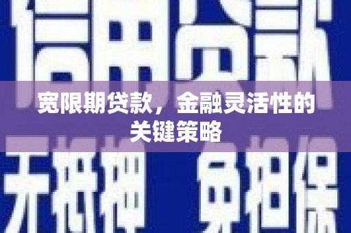 龙潭宽限期贷款，金融灵活性的关键策略