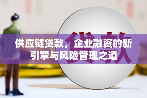 龙潭供应链贷款，企业融资的新引擎与风险管理之道