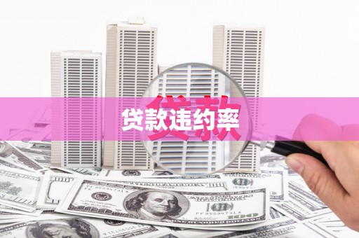 龙潭贷款违约率