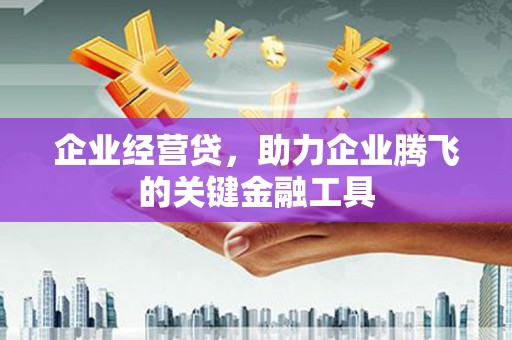 龙潭企业经营贷，助力企业腾飞的关键金融工具