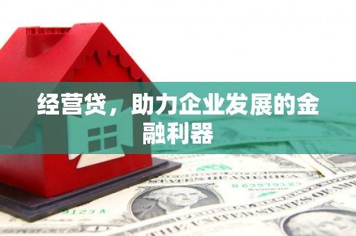 龙潭经营贷，助力企业发展的金融利器
