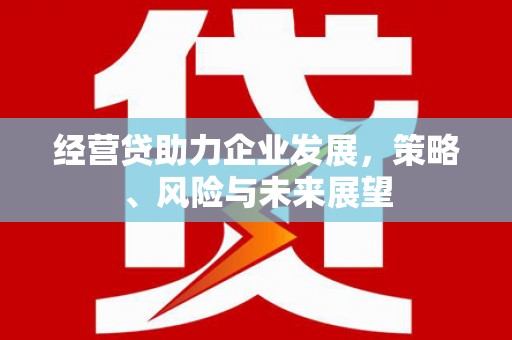 龙潭经营贷助力企业发展，策略、风险与未来展望