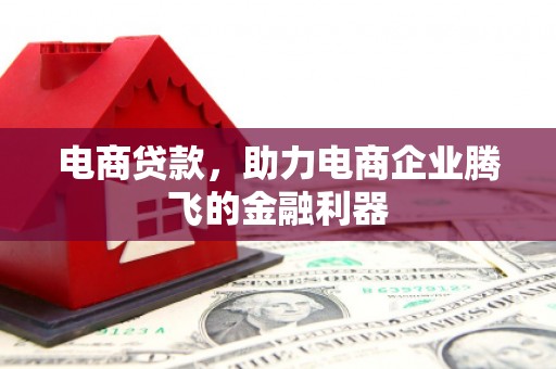 龙潭电商贷款，助力电商企业腾飞的金融利器