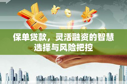 龙潭保单贷款，灵活融资的智慧选择与风险把控