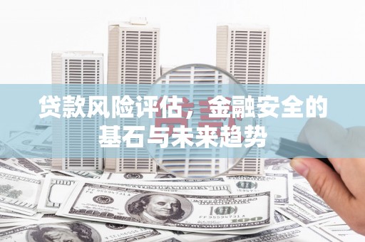 龙潭贷款风险评估，金融安全的基石与未来趋势