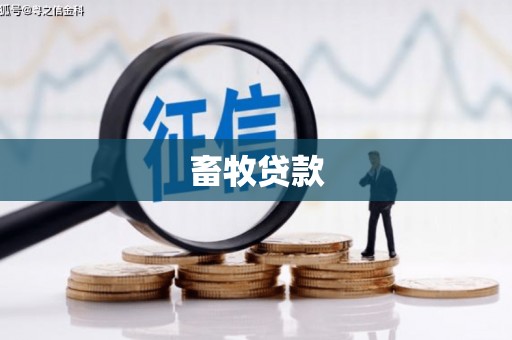 龙潭畜牧贷款