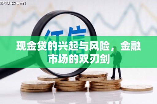 龙潭现金贷的兴起与风险，金融市场的双刃剑