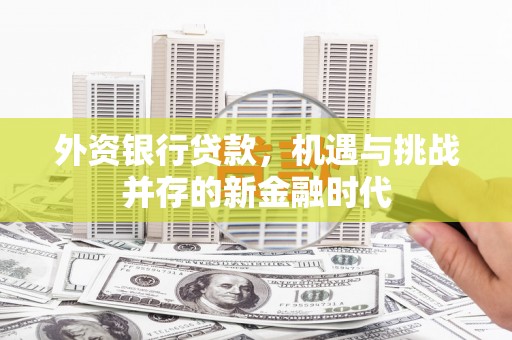 龙潭外资银行贷款，机遇与挑战并存的新金融时代