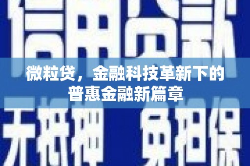 龙潭微粒贷，金融科技革新下的普惠金融新篇章