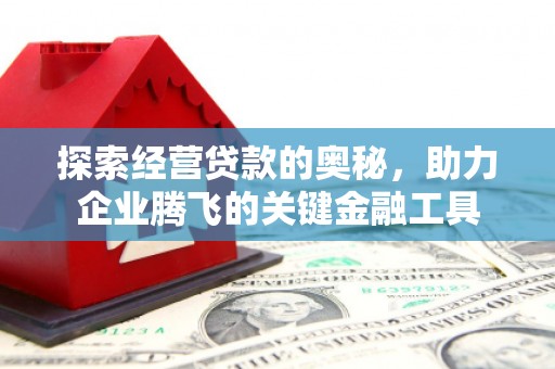 龙潭探索经营贷款的奥秘，助力企业腾飞的关键金融工具
