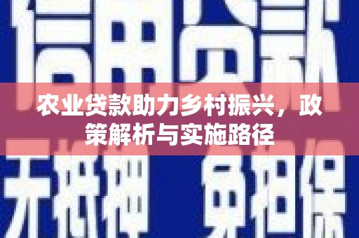龙潭农业贷款助力乡村振兴，政策解析与实施路径