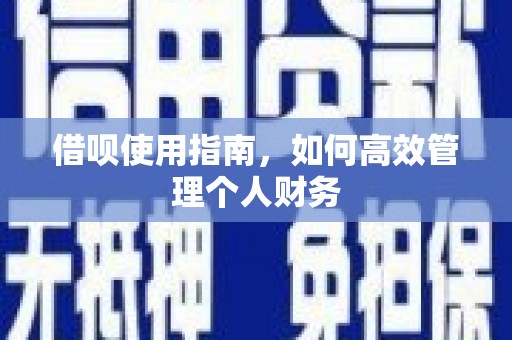 龙潭借呗使用指南，如何高效管理个人财务