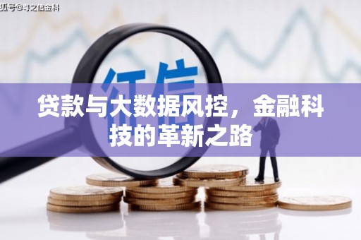 龙潭贷款与大数据风控，金融科技的革新之路