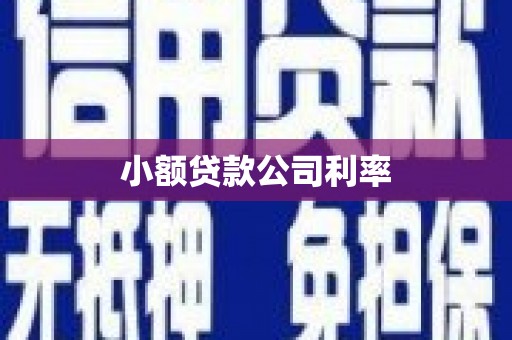 龙潭小额贷款公司利率