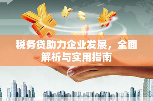 龙潭税务贷助力企业发展，全面解析与实用指南