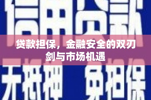 龙潭贷款担保，金融安全的双刃剑与市场机遇