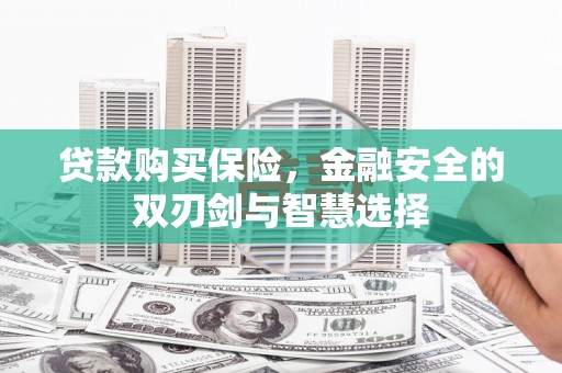 龙潭贷款购买保险，金融安全的双刃剑与智慧选择