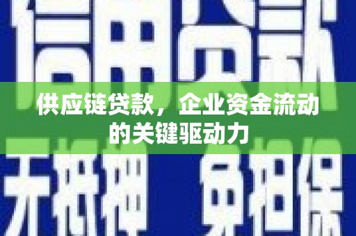 龙潭供应链贷款，企业资金流动的关键驱动力
