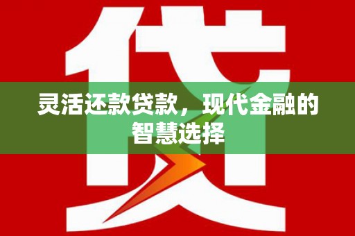 龙潭灵活还款贷款，现代金融的智慧选择