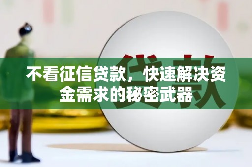 龙潭不看征信贷款，快速解决资金需求的秘密武器