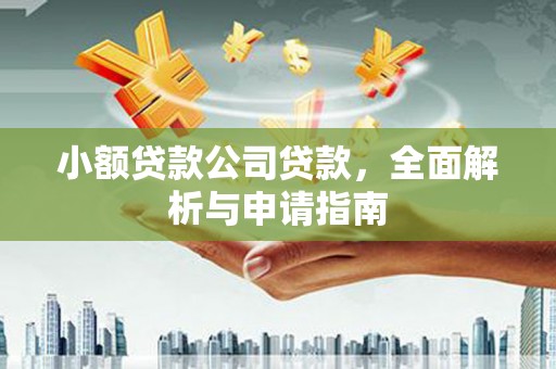 龙潭小额贷款公司贷款，全面解析与申请指南