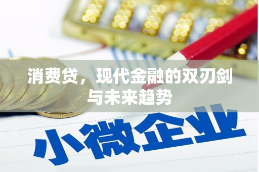 龙潭消费贷，现代金融的双刃剑与未来趋势