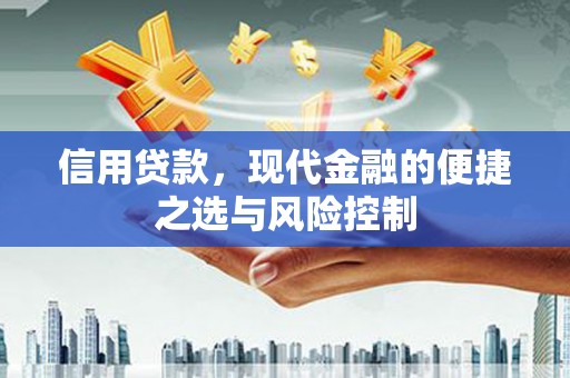 龙潭信用贷款，现代金融的便捷之选与风险控制