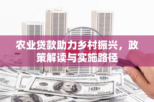 龙潭农业贷款助力乡村振兴，政策解读与实施路径