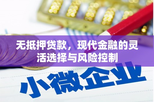 龙潭无抵押贷款，现代金融的灵活选择与风险控制