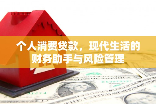 龙潭个人消费贷款，现代生活的财务助手与风险管理