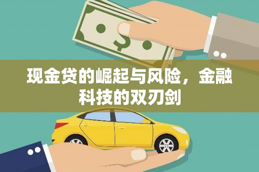 龙潭现金贷的崛起与风险，金融科技的双刃剑