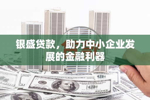 龙潭银盛贷款，助力中小企业发展的金融利器