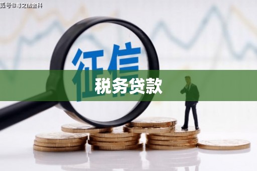 龙潭税务贷款