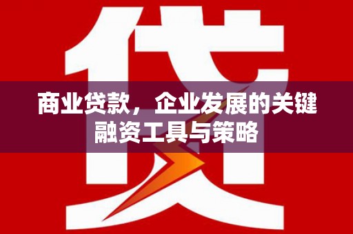 龙潭商业贷款，企业发展的关键融资工具与策略