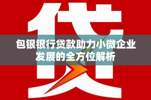龙潭包银银行贷款助力小微企业发展的全方位解析